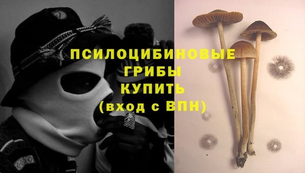 мяу мяу кристалл Магас